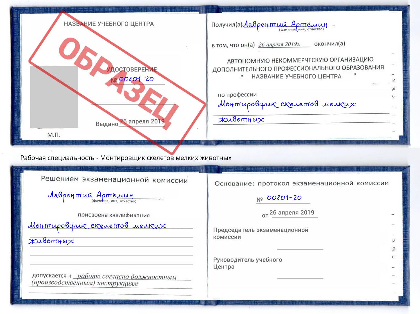 Монтировщик скелетов мелких животных Гуково