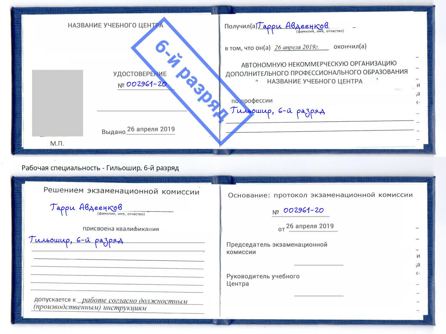 корочка 6-й разряд Гильошир Гуково