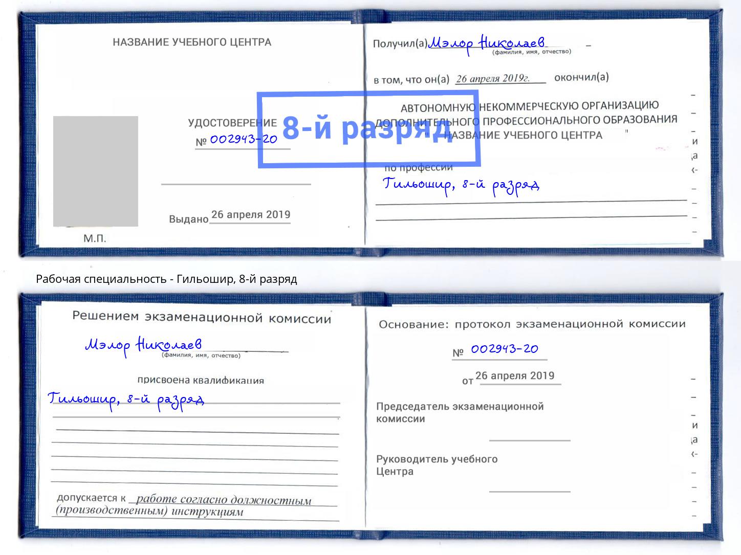 корочка 8-й разряд Гильошир Гуково