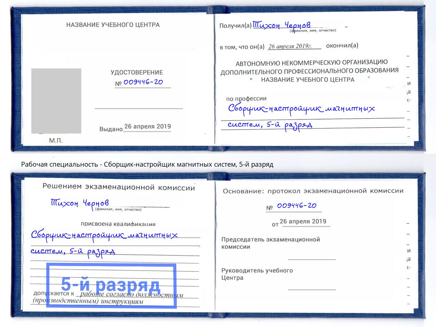 корочка 5-й разряд Сборщик-настройщик магнитных систем Гуково